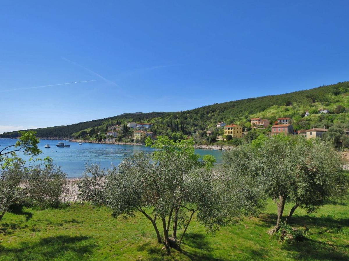 Apartment Villa Palma - LBN405 Labin  Esterno foto